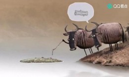 两头牛和鳄鱼搞笑视频,笑料百出！