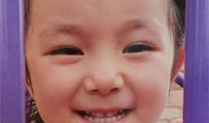 孙艳个人资料,才华横溢的影视新星，多面魅力绽放荧屏