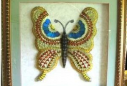 蝶翅画图片,探寻自然之美与艺术交融的奇迹