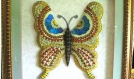 蝶翅画图片,探寻自然之美与艺术交融的奇迹