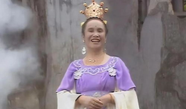 明星杨琪,星光璀璨的影视新星