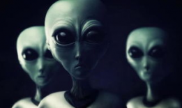 外星人陈山一家的照片,揭秘神秘星球来客的地球生活