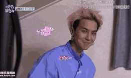 背景韩国男明星li,闪耀舞台的璀璨星辰