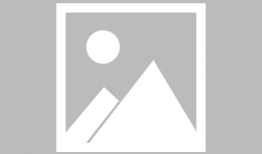 宠爱搞笑版歌词,宠物界的欢乐喜剧