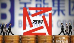 宝能集团 背景,崛起于深圳的多元化商业帝国