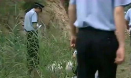 炮神搞笑短文,笑谈军营生活，炮火中的欢乐时光