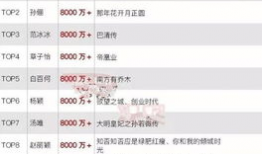 明星标价,娱乐圈背后的真实价值评估