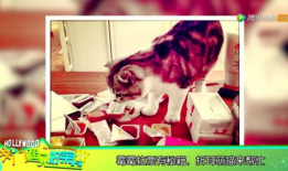 马年搞笑节目,欢乐喜剧盛宴