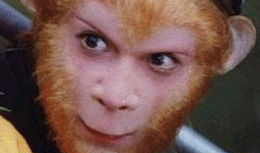 西游记续演员,传奇再续，新角色演绎经典传奇