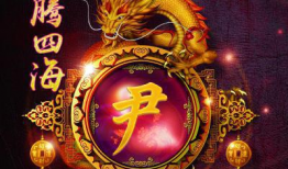 龙腾四海图片