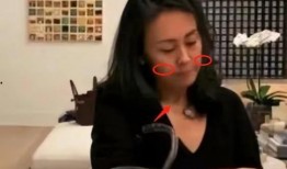 利智近期照片家庭,温馨瞬间见证美满人生