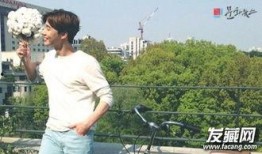 背景韩国男明星li,闪耀舞台的璀璨星辰