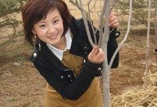 书云图片,穿越时空的智慧结晶
