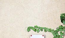 同学会的背景音乐,同学会时光的温馨旋律