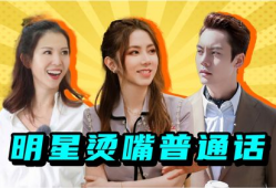 明星中文版,璀璨星光下的文化盛宴