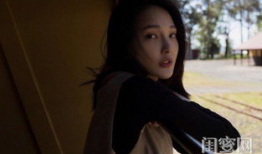 网红小周迅 迅雷下载,迅雷下载背后的故事与启示