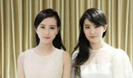 娱乐圈里的双胞胎,孪生姐妹兄弟的星途传奇
