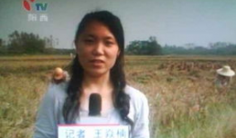 女主播东阳,直播界的璀璨明星