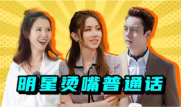 明星中文版,璀璨星光下的文化盛宴