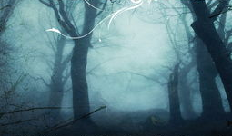 毕业那年背景音乐,毕业时刻