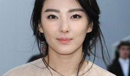 明星中文版,璀璨星光下的文化盛宴