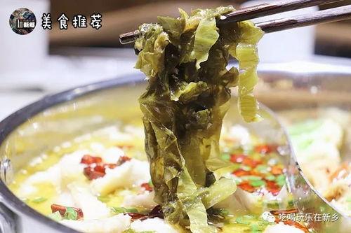 娱乐吃瓜酱酸菜