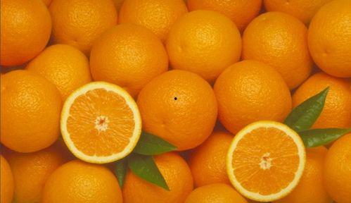 娱乐吃瓜橘子视频大全,全网热门娱乐吃瓜橘子视频大盘点